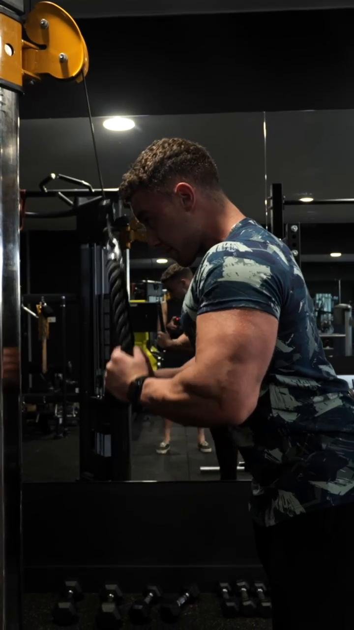Arms
