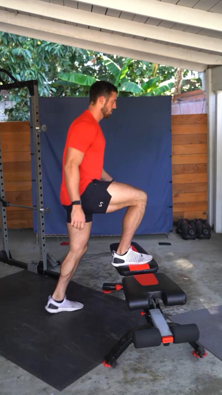 Week 1 / Day 3: Full Body Basics