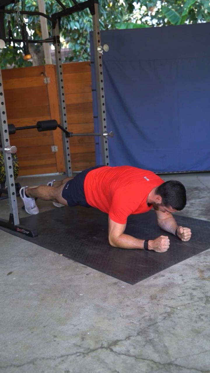 Week 2 / Day 1: Full Body Basics