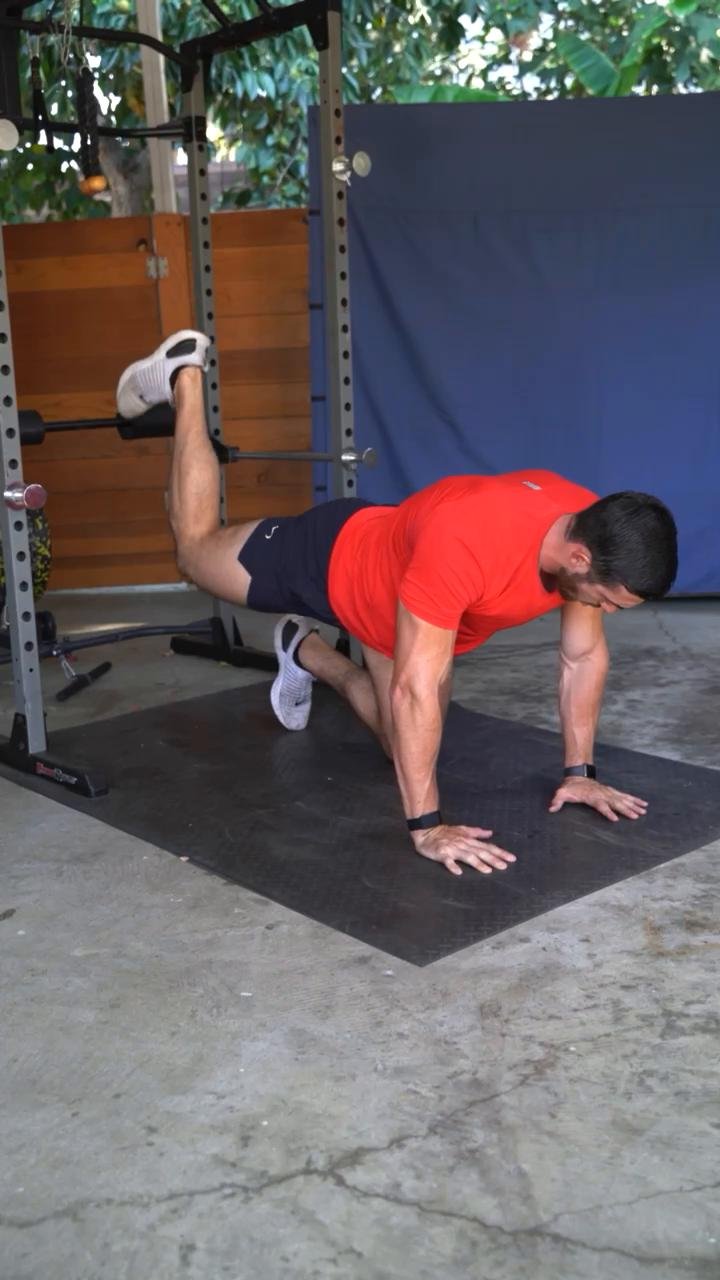 Week 1 / Day 2: Full Body Basics