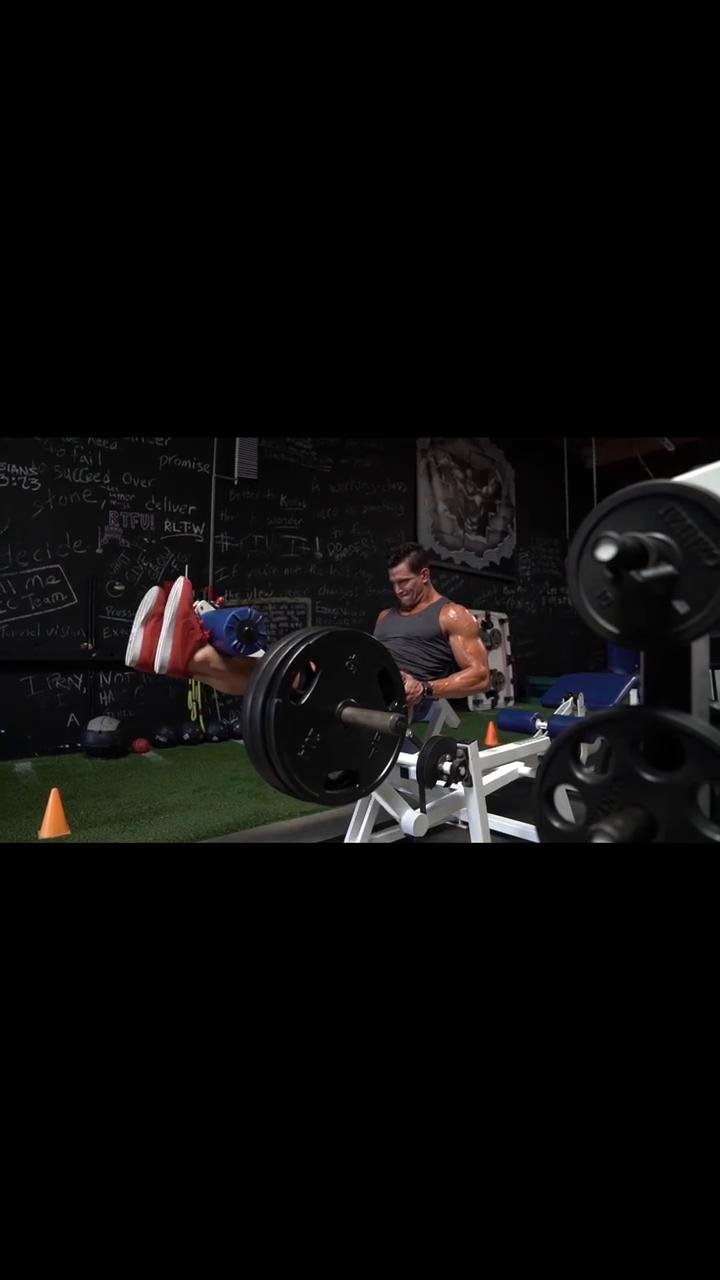 Workout 1 | Quads, calves, biceps & triceps