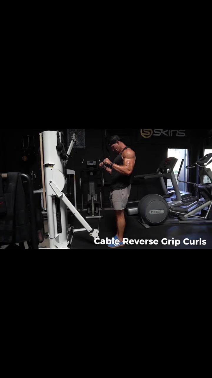 Chest Day + P.M. Feeders