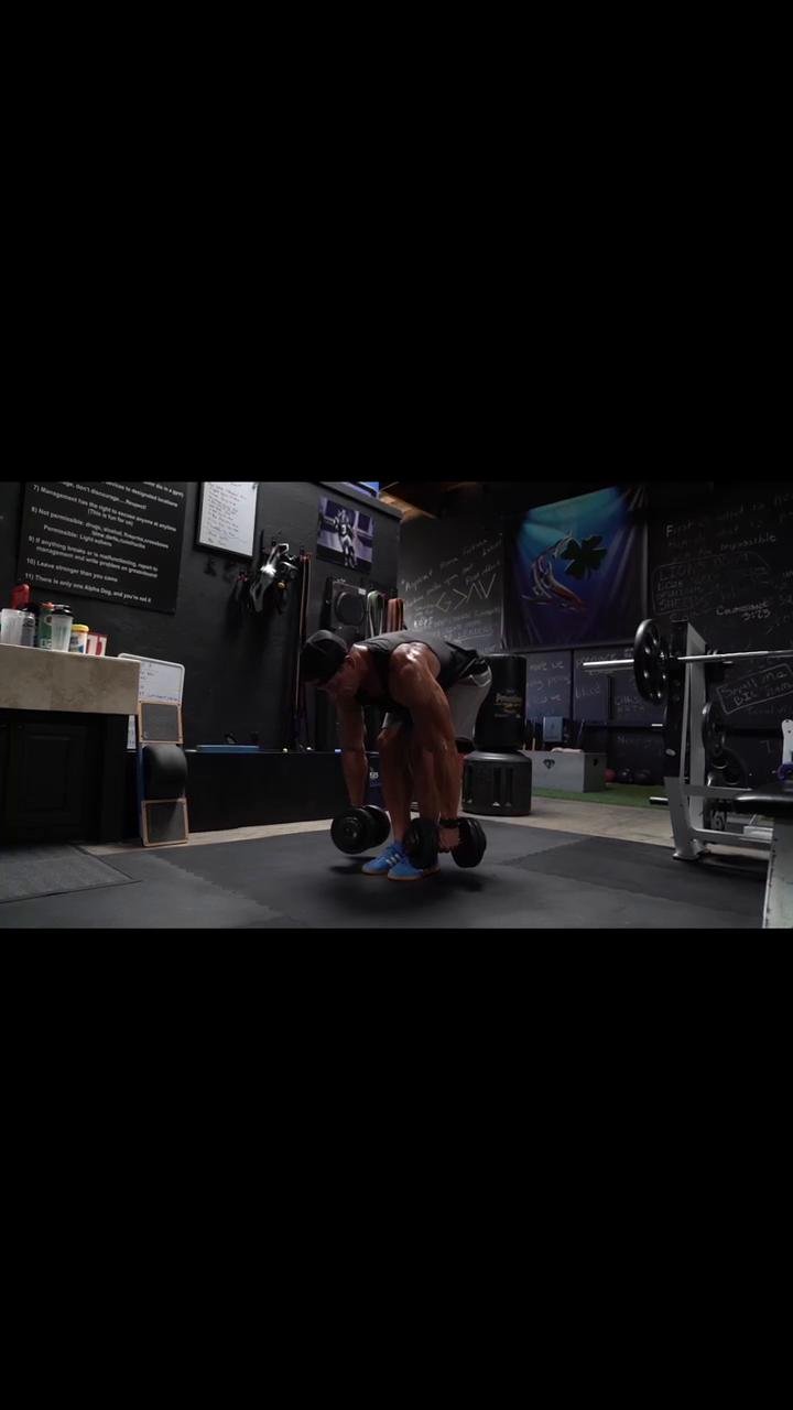 Workout 5 | Back, biceps and calves