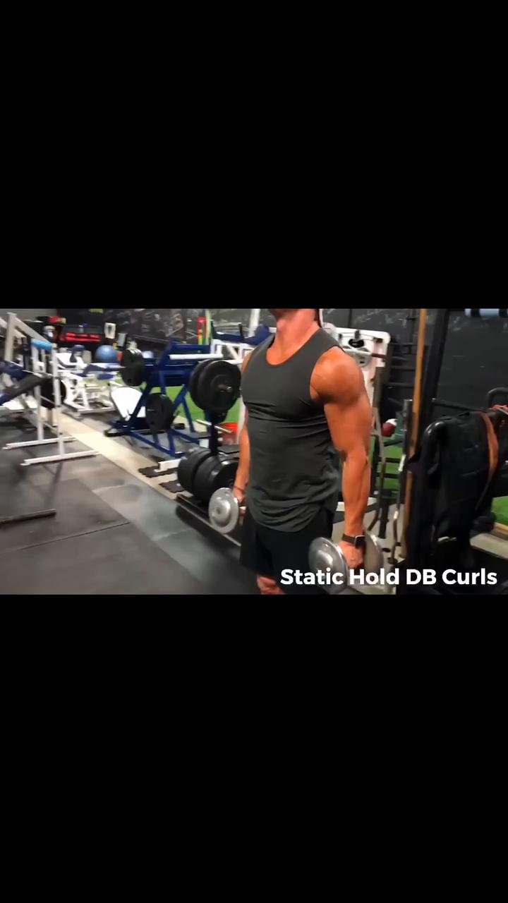 Workout 5 | Back, biceps and calves