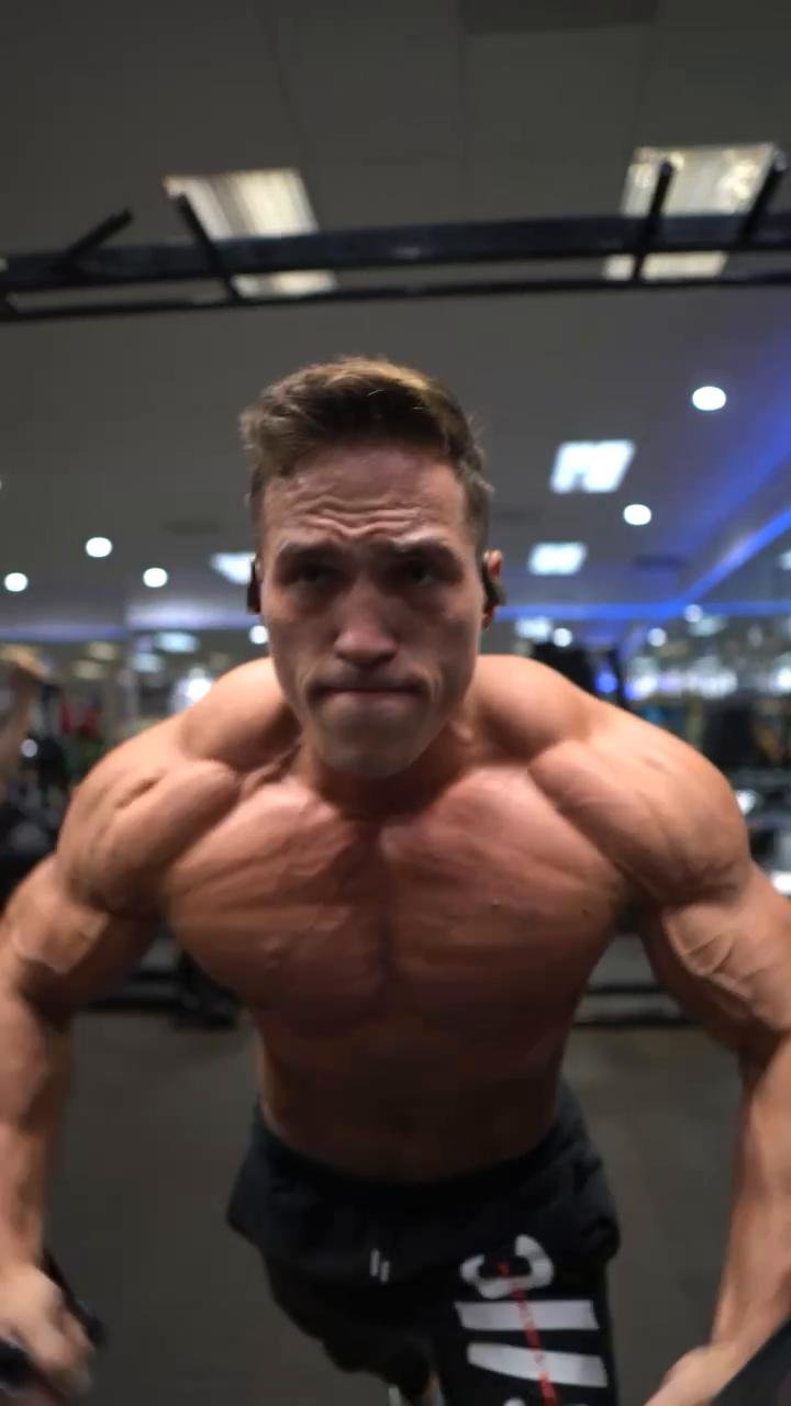 Chest/Triceps