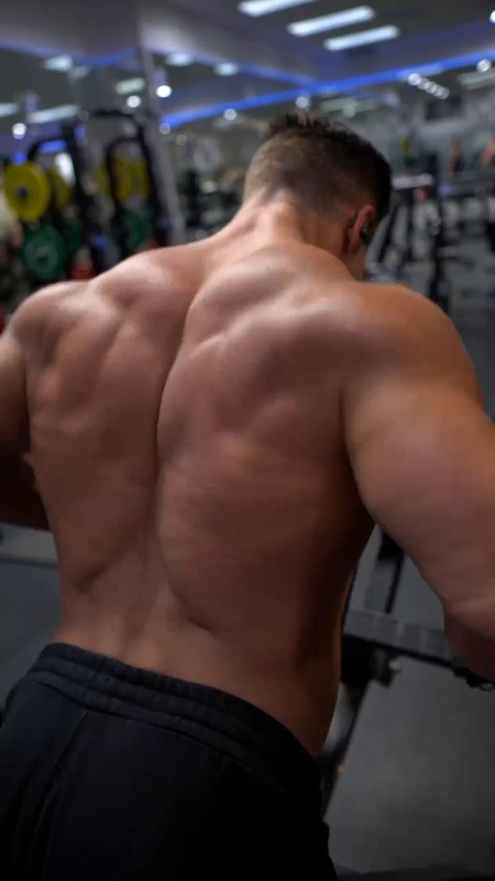 Back/Biceps