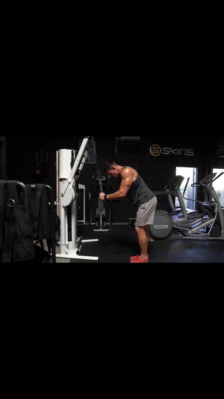 Chest Day + P.M. Feeders