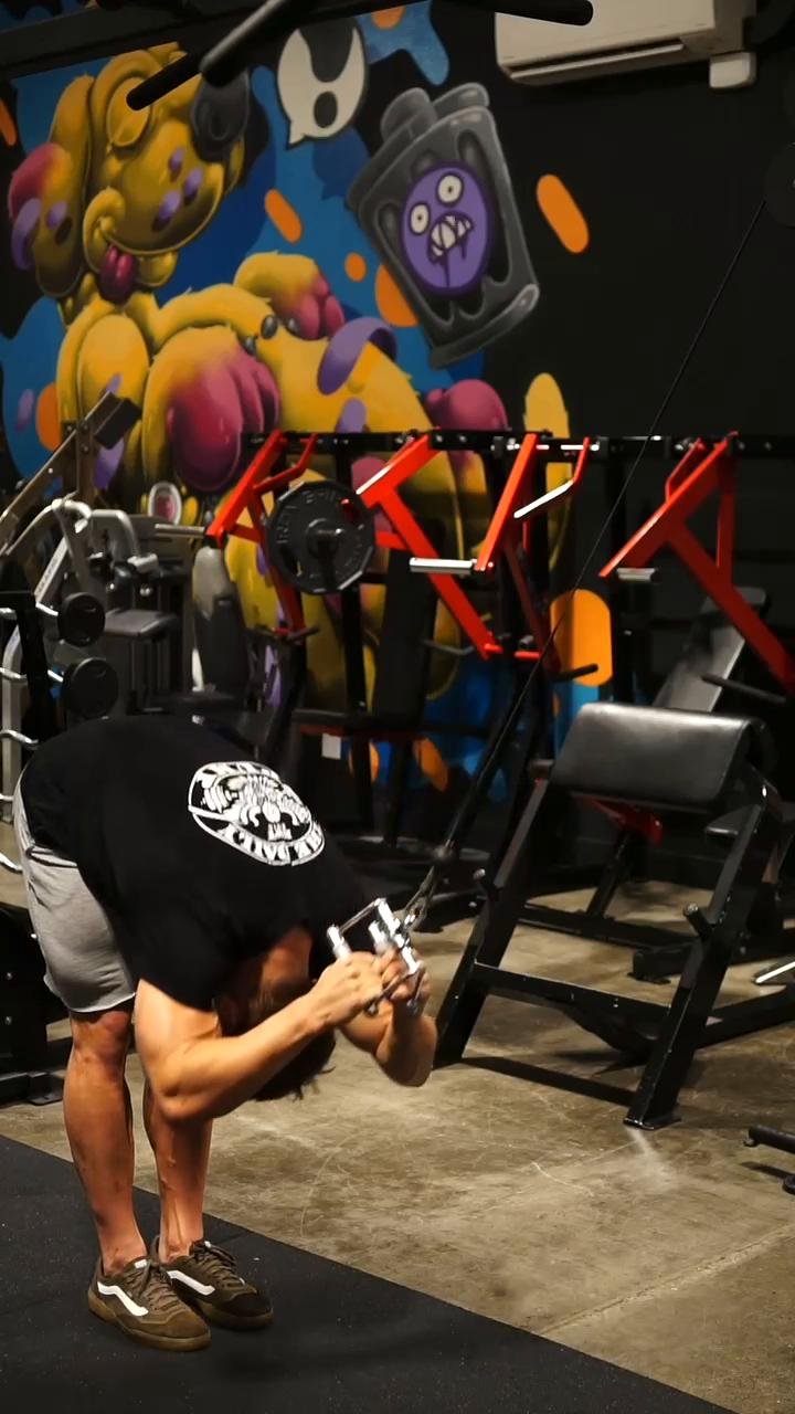 Abs/Forearms
