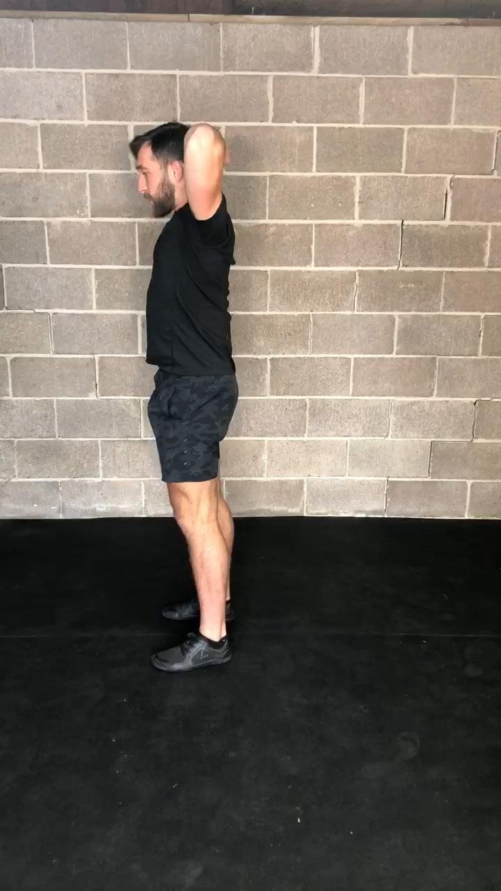 Shoulder and Scapula Mobility