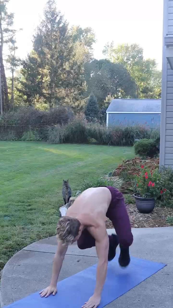 Day 4 (Full Body)