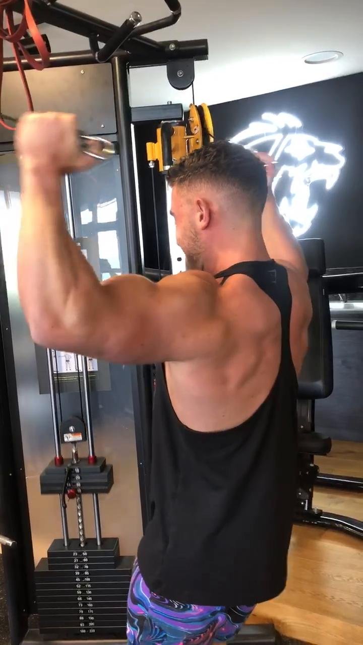 Arms (Biceps Focussed)