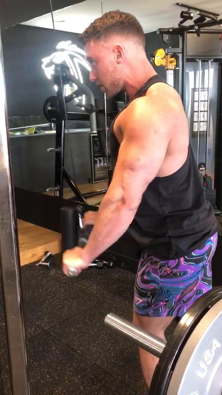 Arms (Biceps Focussed)