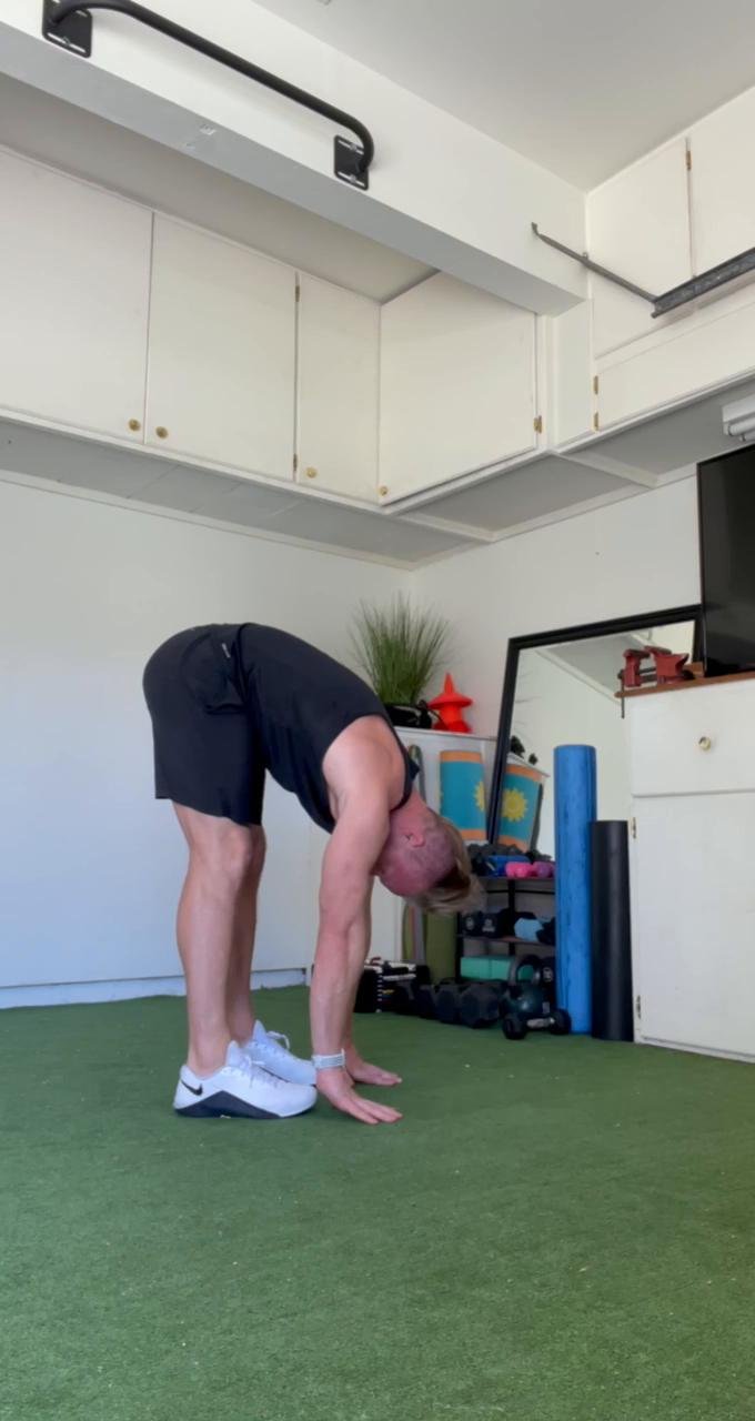Day 1: Full Body Circuit Training