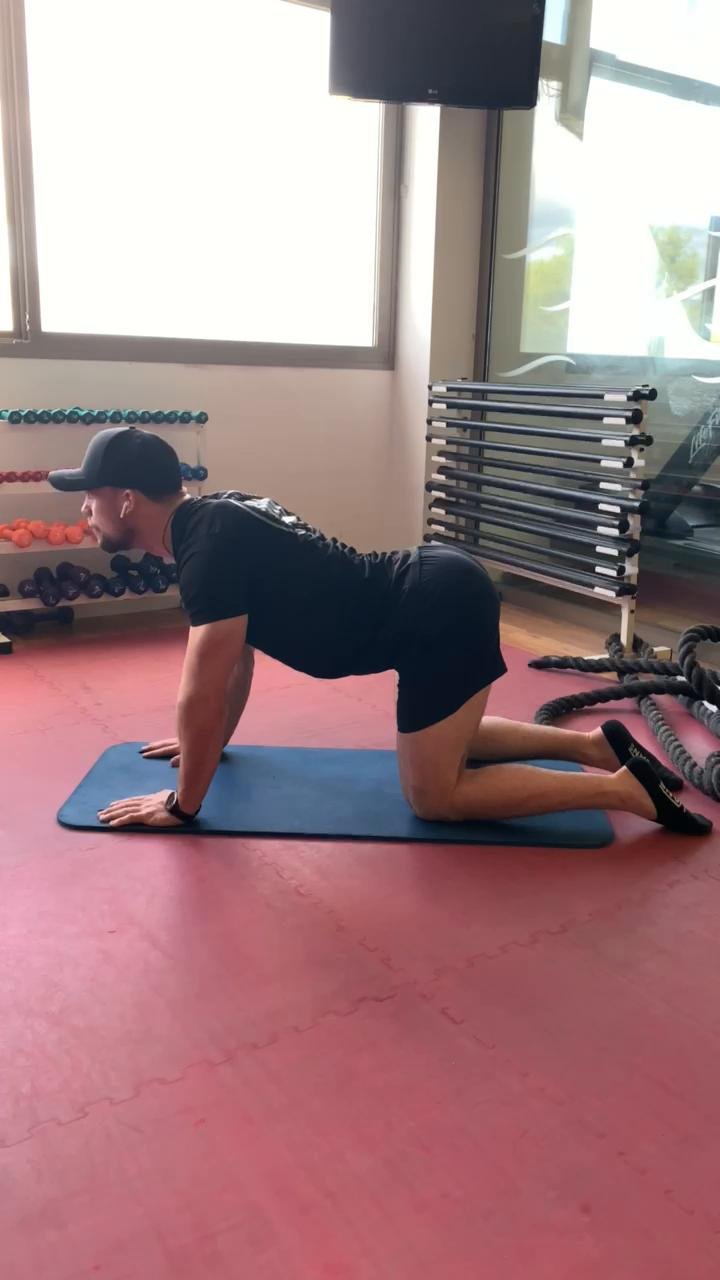 Abs/Mobility/Cardio