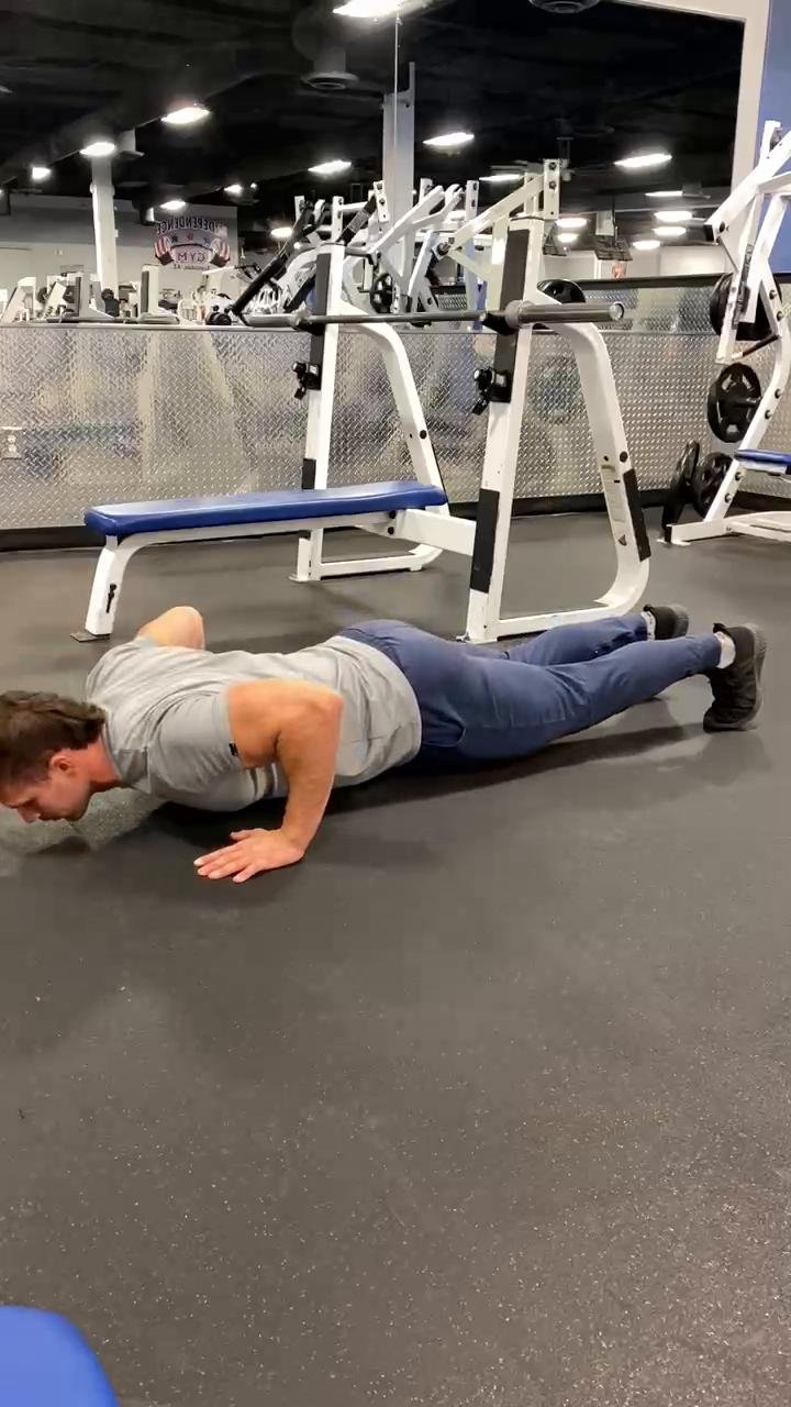 Chest / Abs