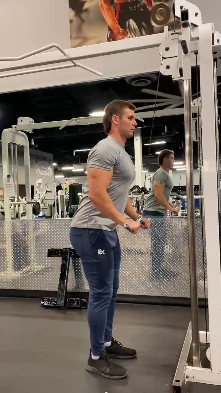 Arms