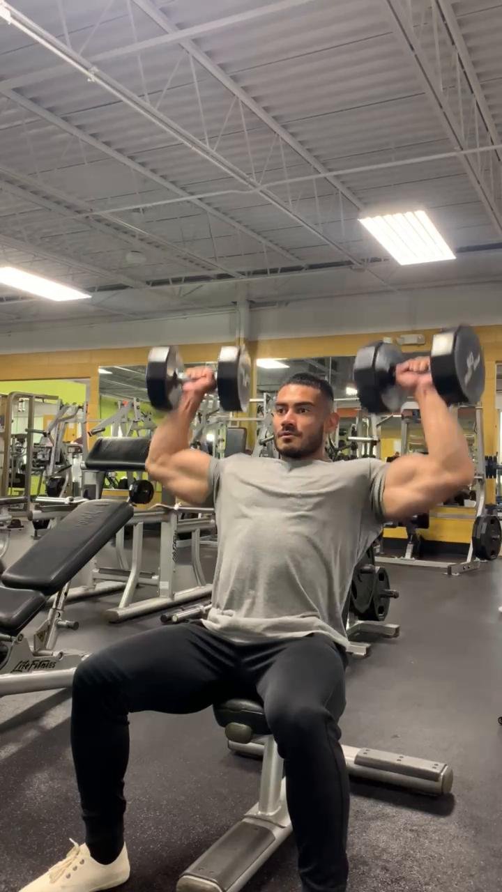 Shoulders
