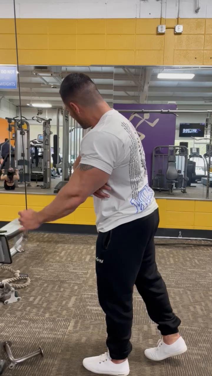 Arms