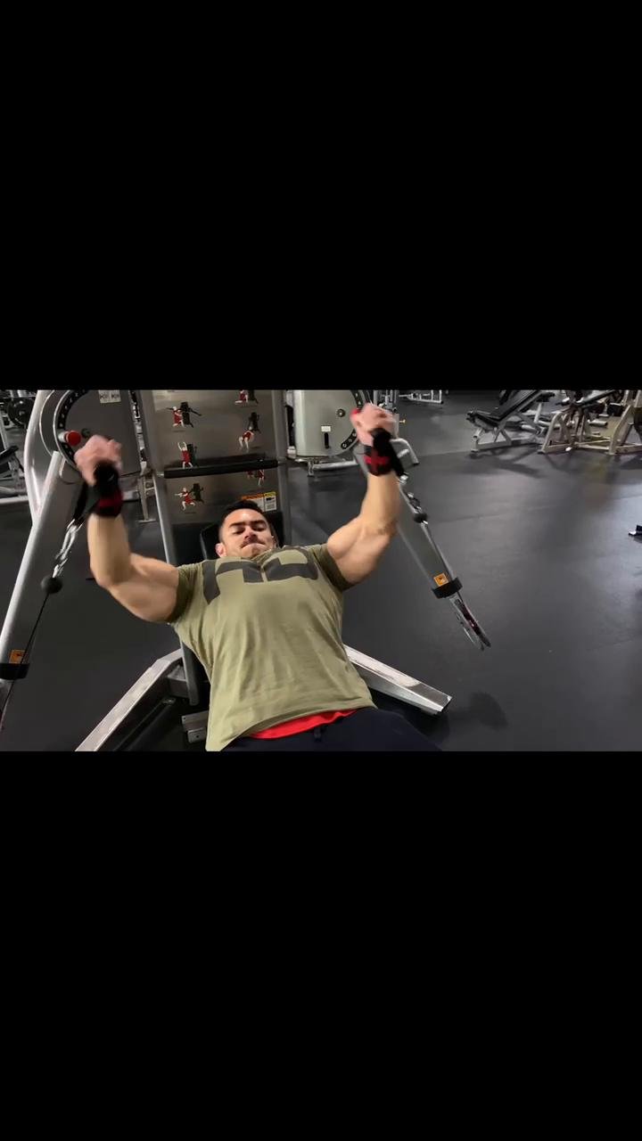 Chest