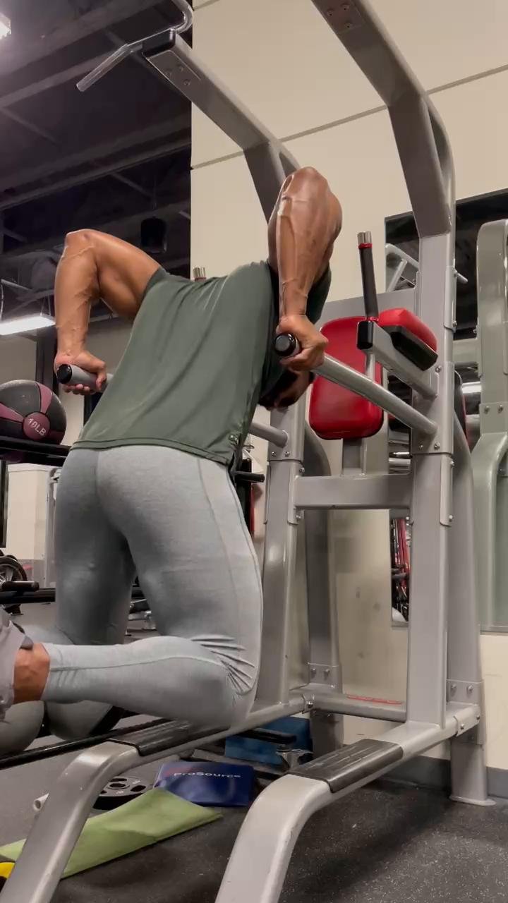 Chest