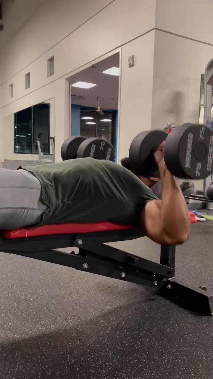 Chest