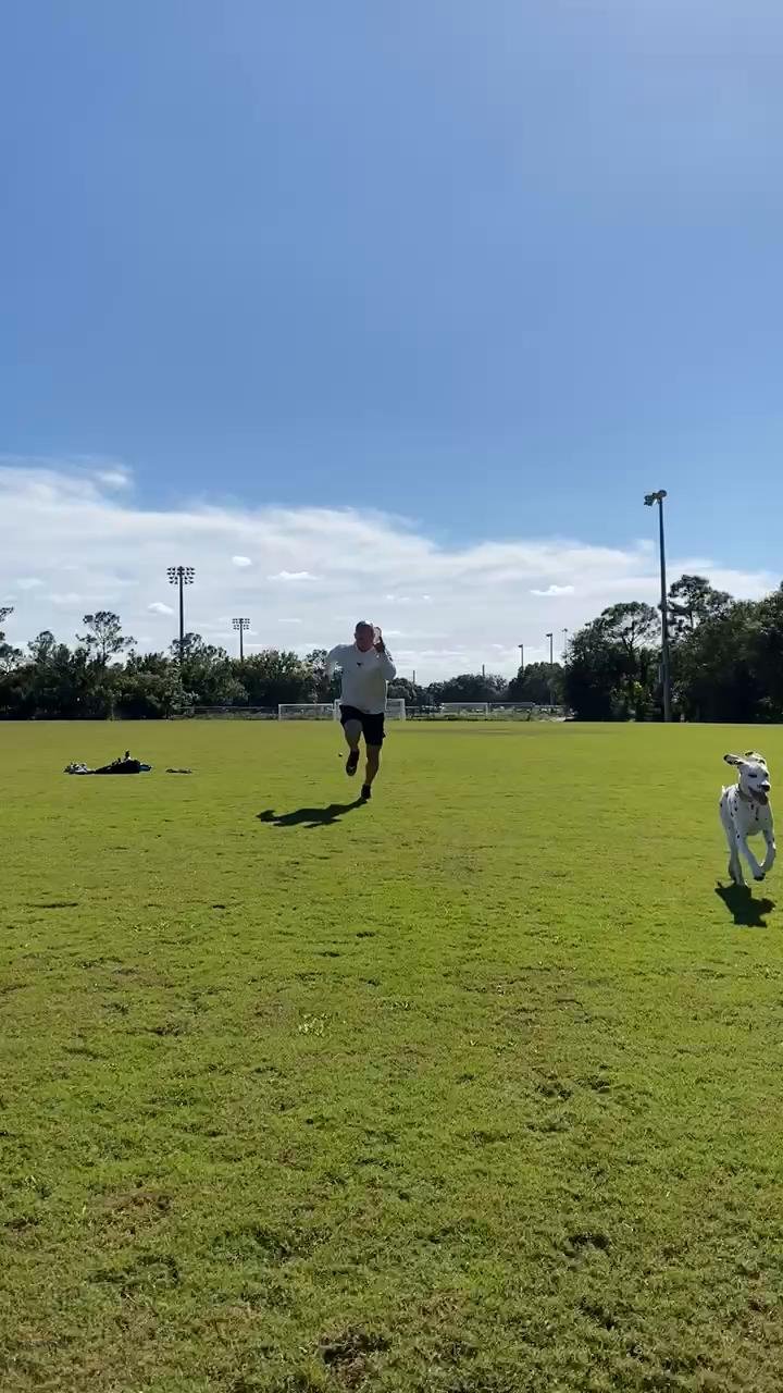 HIIT - SPRINT / BEAR CRAWL