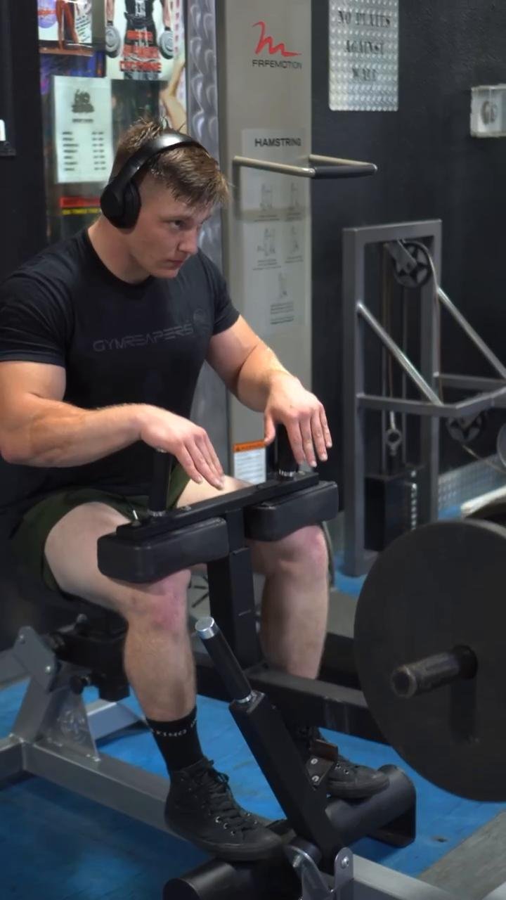 Legs
