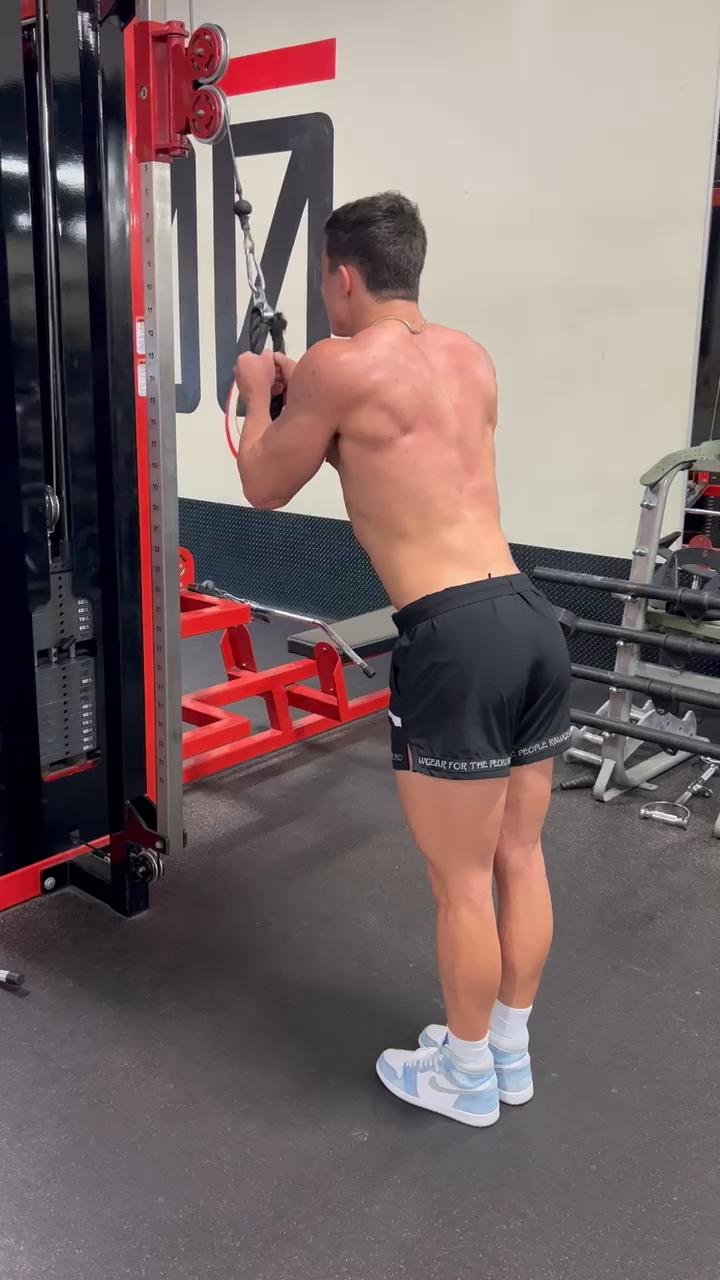 Muscle Growth cycle 2 by Jarrett Stod