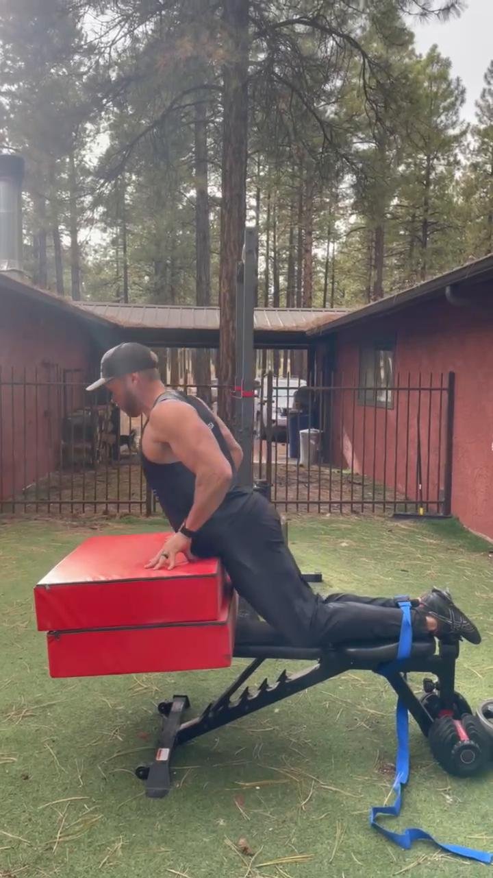 Leg and Back