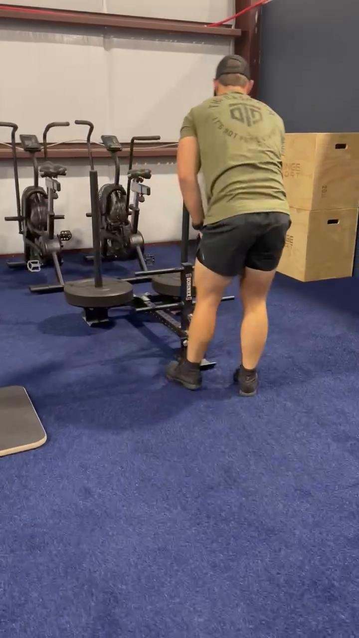 Legs