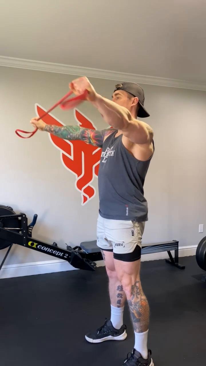 Chest / Shoulders / Triceps