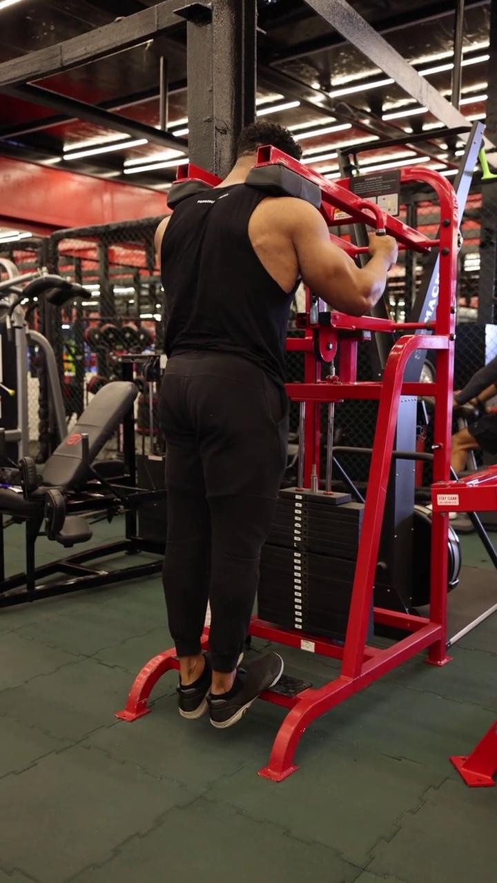 Legs