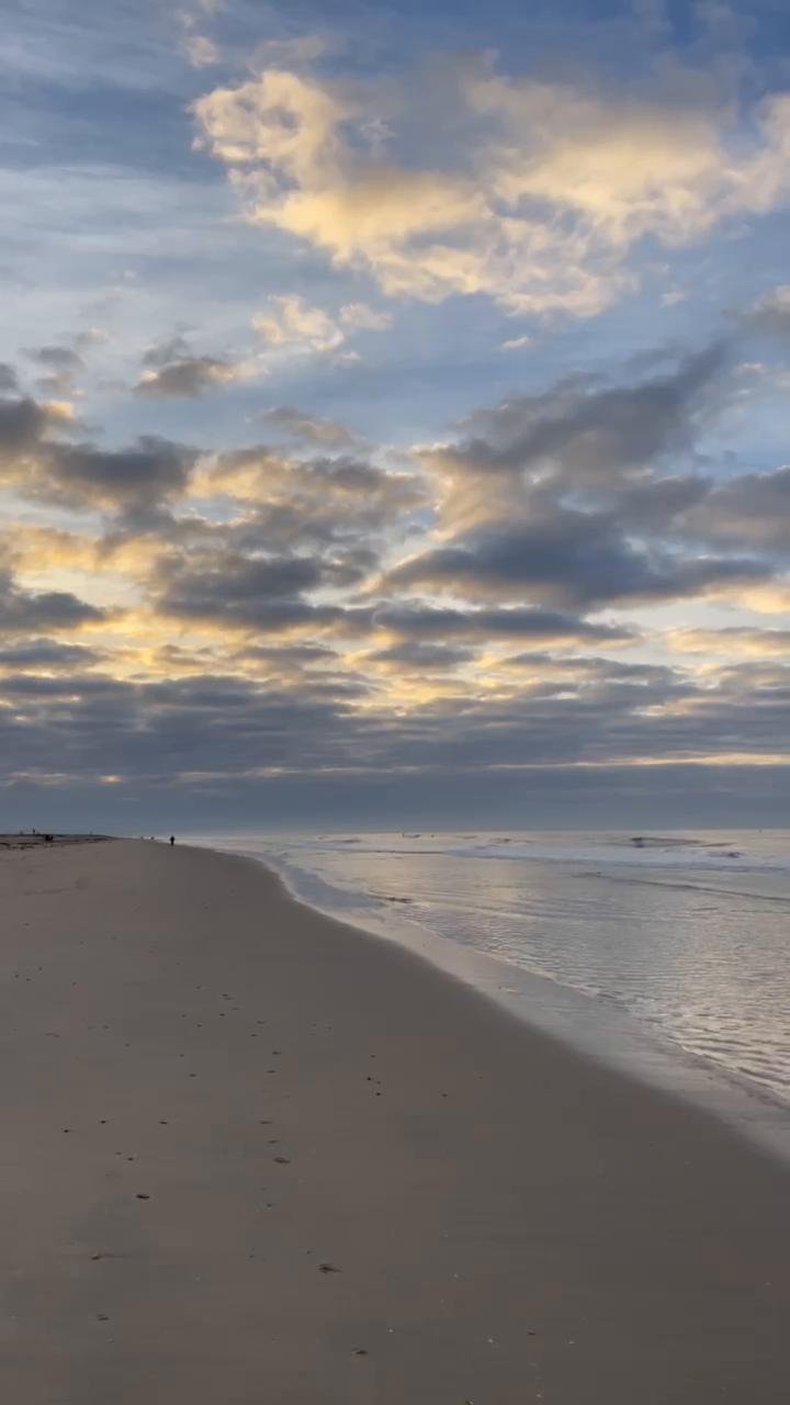 W1/D4- X-Training Day