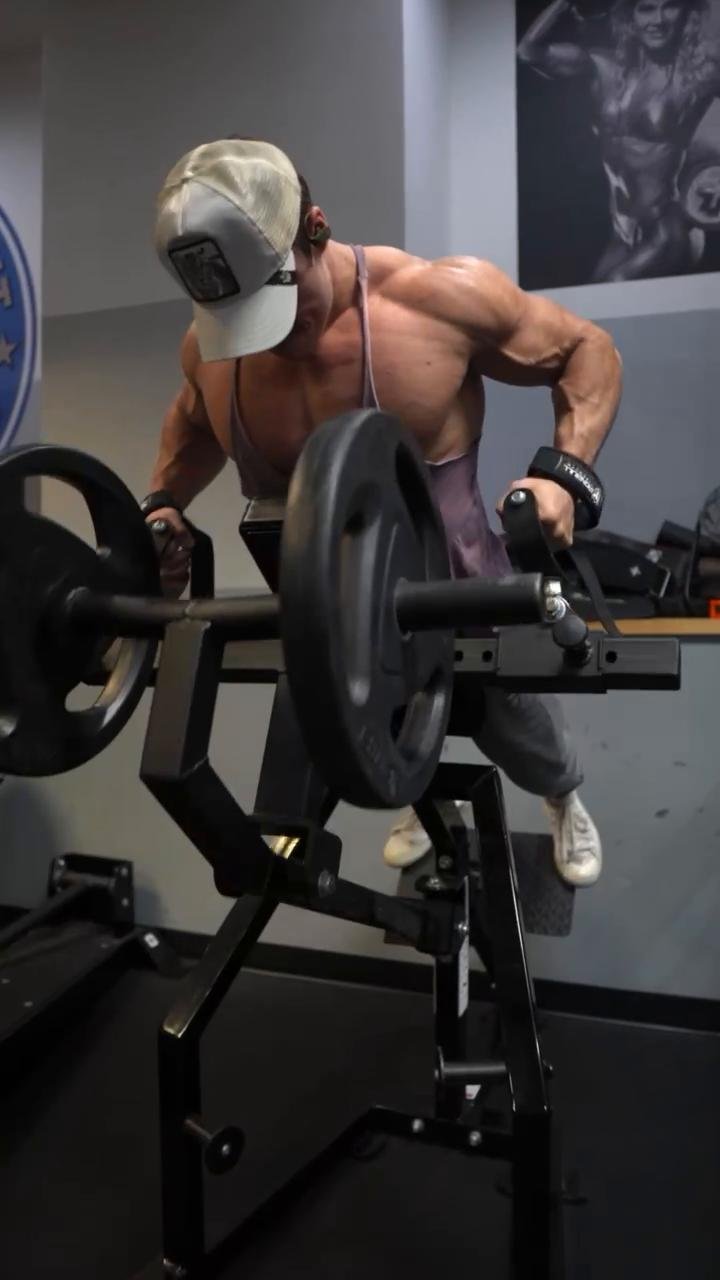 Back and Rear Delts