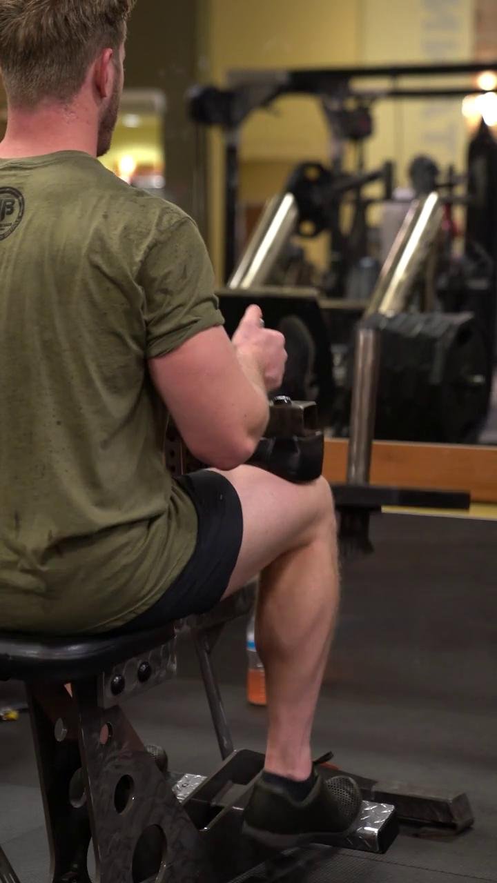 Back & Legs