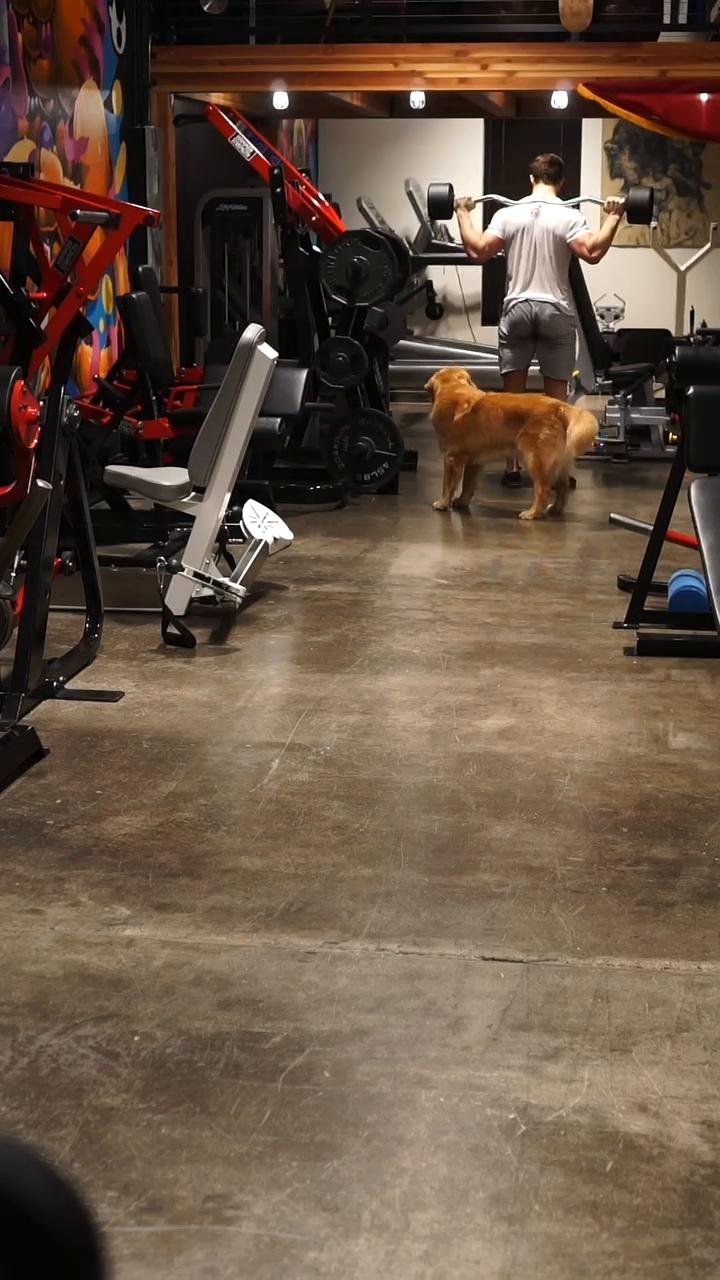 Hamstrings/glutes/Abductor (1/24/24)