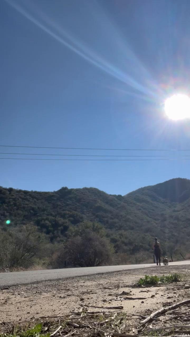 DAY 3