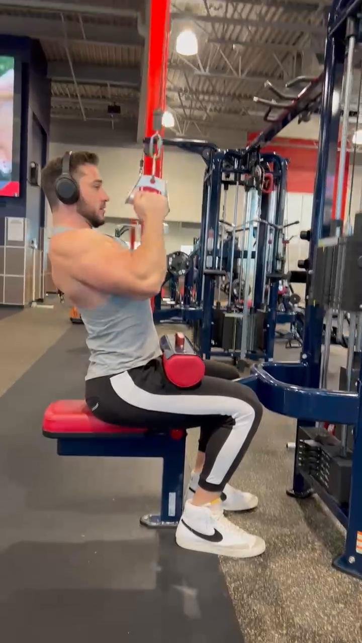 Phase 1 Pull (Rear Delt & Bicep Focus)
