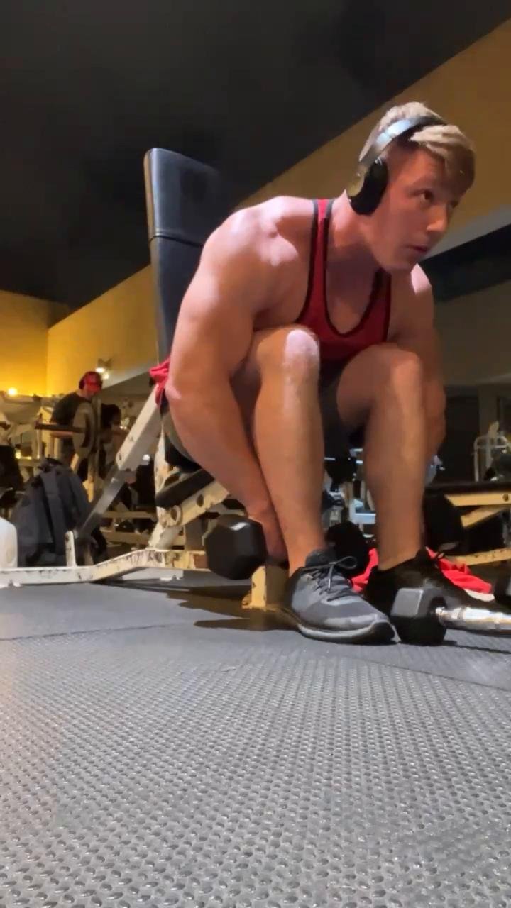 Shoulders/Traps