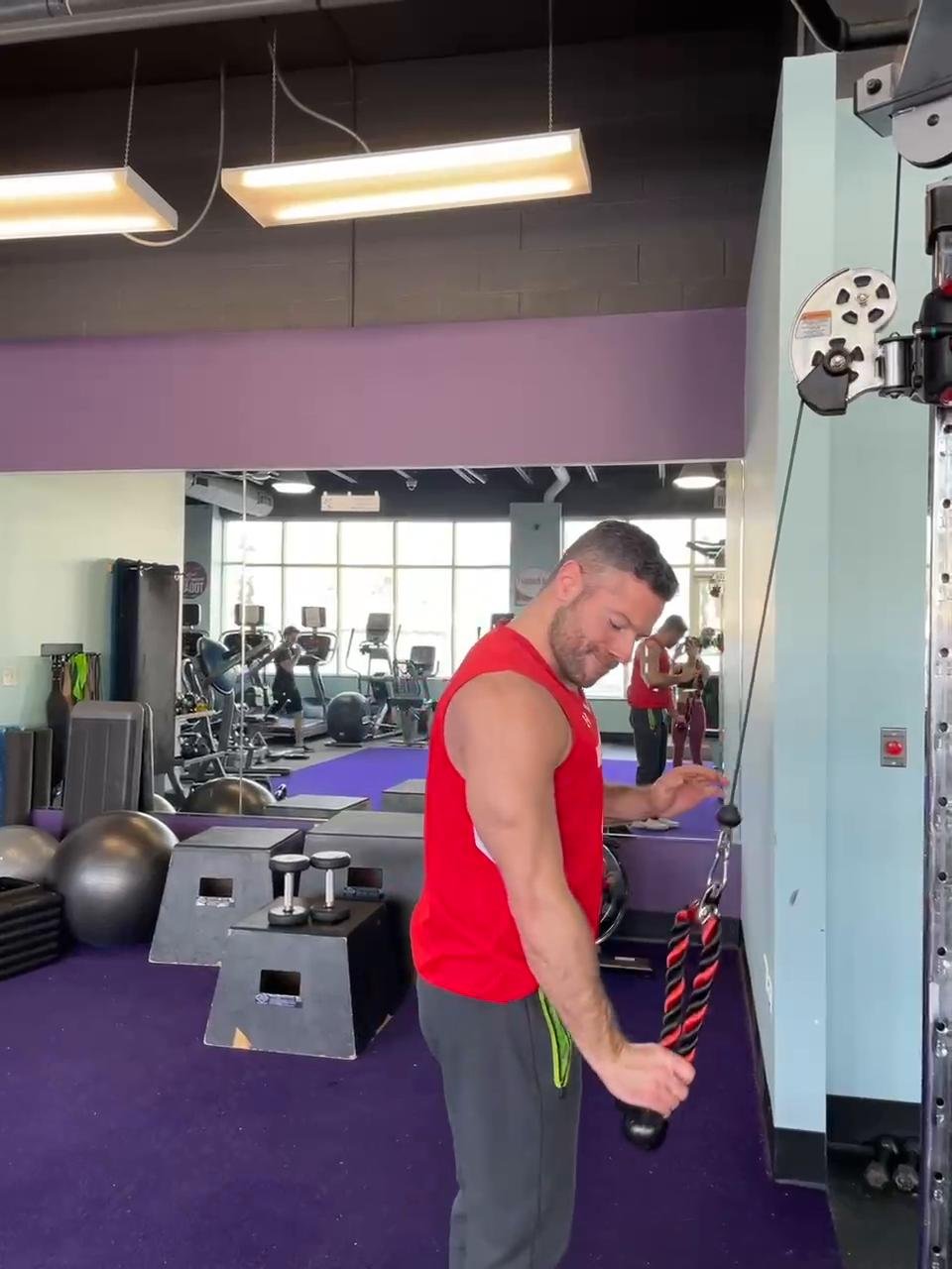 Shoulders, Triceps, Upper Back