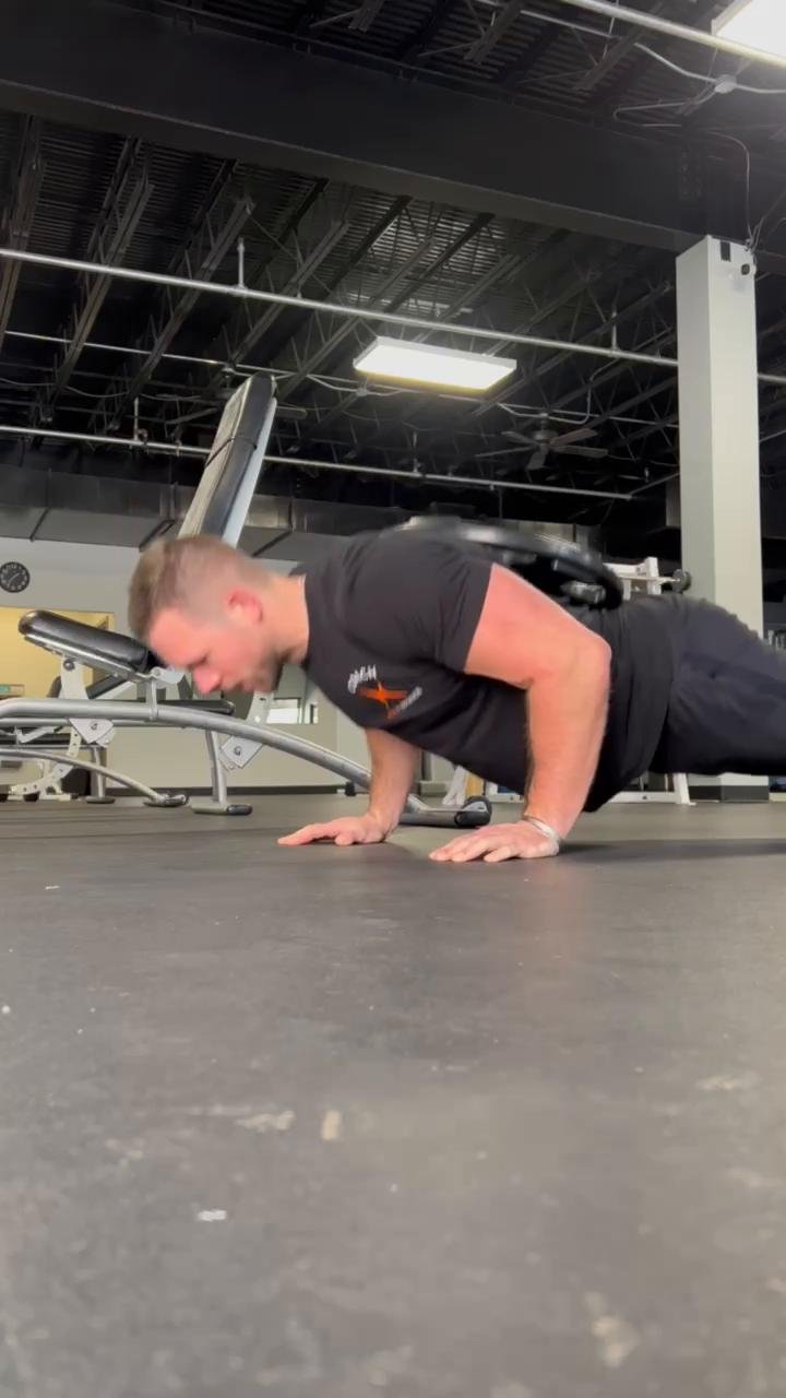 Shoulders + Arms