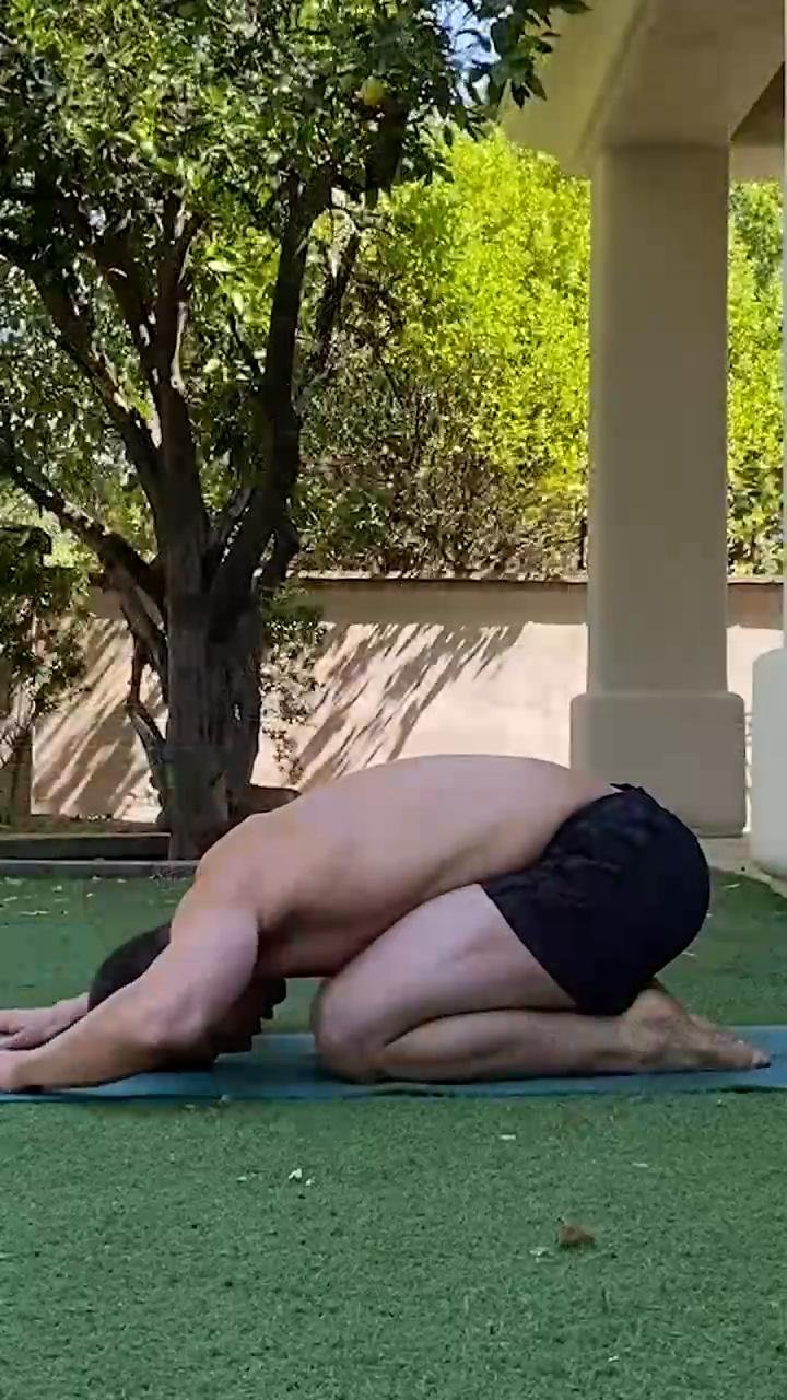 Back Mobility (stretch / pose)