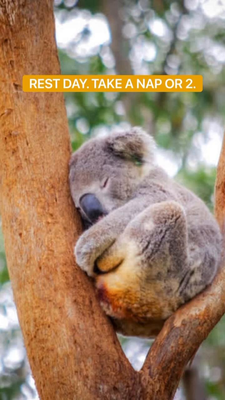 Rest Day