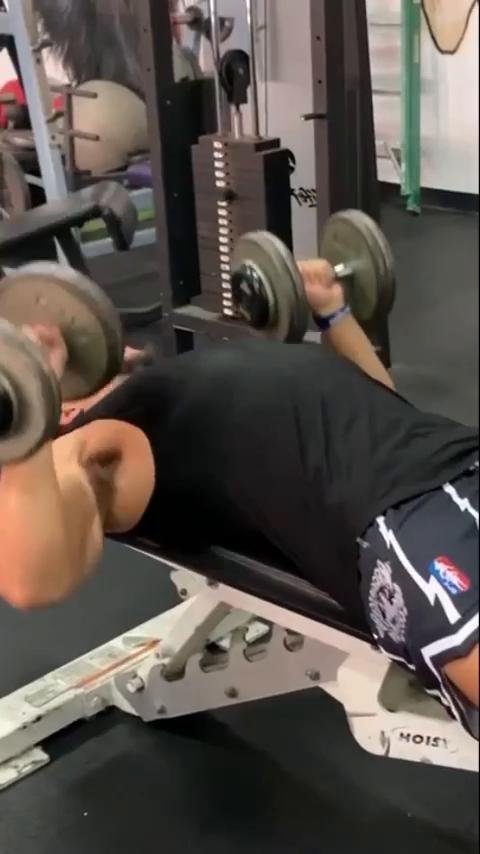 Chest