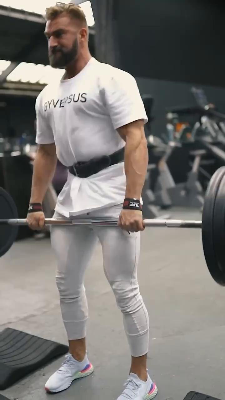 Day 5 - Pull pt. 2 (Back, Biceps)