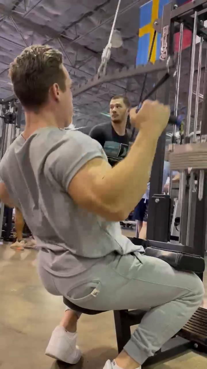 Back and rear delts