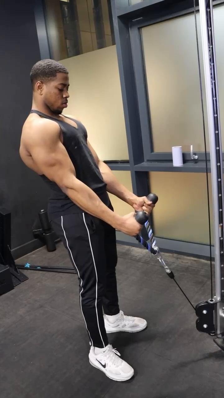 Pull Workout