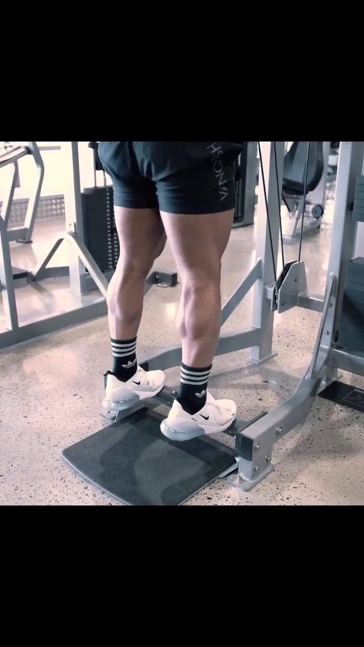 Core/Calves