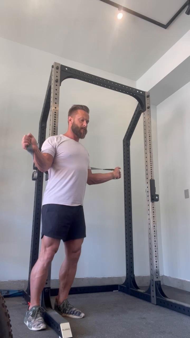 Chest