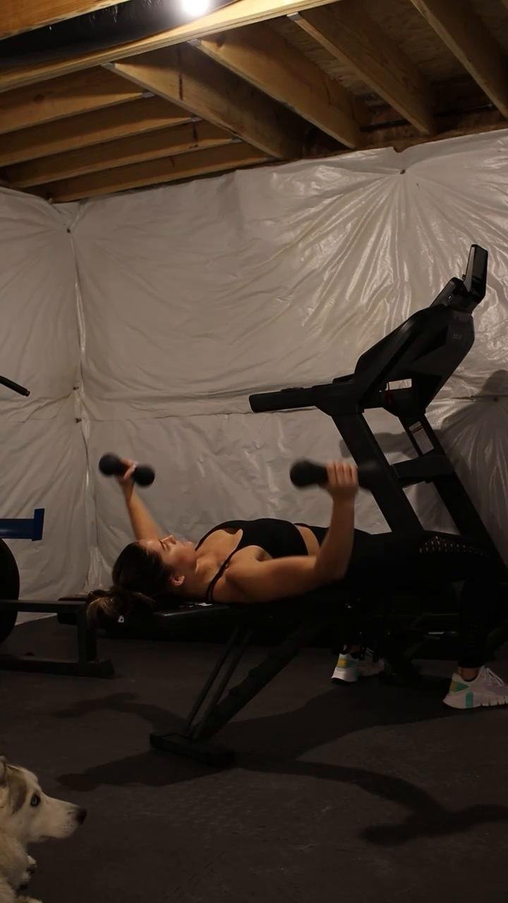 - Back, Chest & Triceps